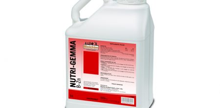 NUTRIGEMMA B-ZN